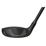 Ping G430 Hybrid DEMO